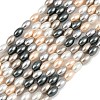 Electroplated Shell Pearl Beads Strands BSHE-H113-06C-03-1