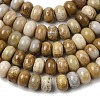 Natural Fossil Coral Beads Strands G-A280-A08-01-4