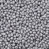 6/0 Glass Seed Beads SEED-L011-08A-11-3