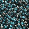 Transparent Inside Colours Glass Seed Beads SEED-H002-A-C223-3