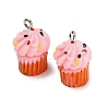 Opaque Resin Imitation Food Pendants RE-CBAF169-07A-1