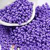 Baking Paint Glass Seed Beads SEED-H002-I-A505-1
