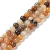 Natural Petrified Wood Round Bead Strands G-P070-69-3mm-1