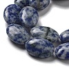Natural Blue Spot Jasper Beads Strands G-P528-M26-01-4
