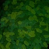 Luminous Transparent Acrylic Beads LACR-D009-01G-3