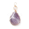 Natural Amethyst Copper Wire Wrapped Pendants PALLOY-JF01398-04-1