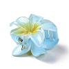 Plastic Claw Hair Clips OHAR-P020-08-4