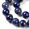 Natural Lapis Lazuli Round Beads Strands X-G-I181-09-10mm-3