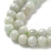 Natural Myanmar Jadeite Beads Strands G-L595-C01-01A-4