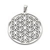 Non-Tarnish 304 Stainless Steel Pendants STAS-P209-18P-1