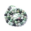 Natural Gemstone Beads Strands G-I259-01B-2
