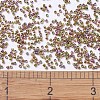 MIYUKI Delica Beads SEED-MY11-DB0507-4