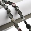 Natural Bloodstone Beads Strands G-P559-B17-01-2