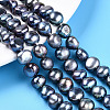 Natural Cultured Freshwater Pearl Beads Strands PEAR-N014-10E-01-1