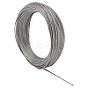 304 Stainless Steel Wires TWIR-WH0148-24-1