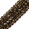 Glass Beads Strands EGLA-A034-T6mm-D16-1