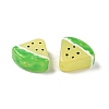 Baking Paint Glass Enamel Beads LAMP-C019-02C-3