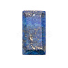 Natural Lapis Lazuli Pendants PW-WG07E98-03-1
