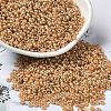 Baking Paint Glass Seed Beads SEED-P006-03A-24-1