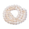 Electroplated Crackle Glass Beads Strands X-EGLA-N014-8mm-02-2
