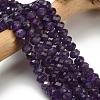 Natural Amethyst Beads Strands G-Z111-A08-02-1