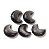 Natural Silver Obsidian Beads G-A310-02-1
