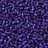 MIYUKI Delica Beads SEED-X0054-DB0696-3