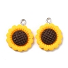 Resin Pendants X-RESI-C002-27-2