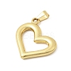 304 Stainless Steel Pendants LS-STAS-C163-05B-G-2
