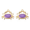 Eco-Friendly Zinc Alloy Pendants X-FIND-N048-43B-01-NR-2