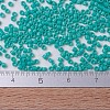 MIYUKI Delica Beads X-SEED-J020-DB0729-4