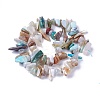 Natural Blue Opal Beads Strands G-I225-13B-2