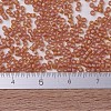 MIYUKI Delica Beads SEED-X0054-DB0866-4