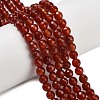 Natural Carnelian Beads Strands G-C280-B10-6mm-1