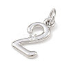 Brass Micro Pave Clear Cubic Zirconia Charms KK-P339-27P-02-2
