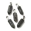 Natural Labradorite Pendants G-Z067-07P-24-2