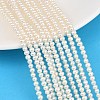 Natural Cultured Freshwater Pearl Beads Strands PA-CBAFEE8-03-1