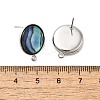 304 Stainless Steel Pave Natural Paua Shell Stud Earring Findings STAS-Z125-10P-3