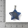 Gemstone Pendants G-P599-06P-4