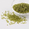 12/0 Glass Seed Beads X-SEED-A005-2mm-24-1