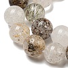 Natural Lodolite Quartz Beads Strands G-R494-A09-03-3