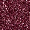 MIYUKI Delica Beads SEED-MY11-DB0654-3