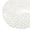 Natural Quartz Crystal Beads Strands G-P573-C03-01-4