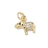 Brass Micro Pave Cubic Zirconia Charms ZIRC-I356-15G-06-1