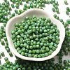 Baking Paint Glass Seed Beads X1-SEED-A032-02A-05-2