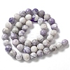 Natural Purple Turquoise Beads Strands G-L595-C04-02-3