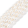 Natural Cultured Freshwater Pearl Beads Strands PEAR-I007-01N-01-2