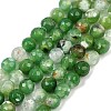 Natural Fire Crackle Agate Beads Strands G-C082-A01-51-2