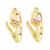 Rack Plating Alloy Pendants PALLOY-D023-14G-02-1