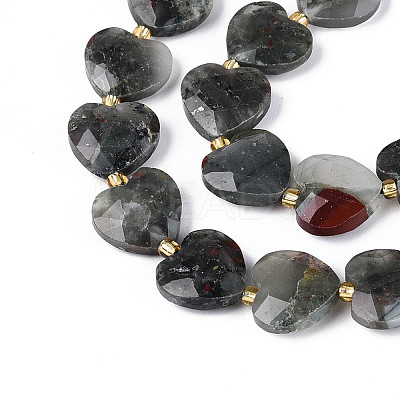 Natural African Bloodstone Beads Strands G-P592-B07-01-1